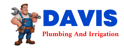 Trusted plumber in LEON